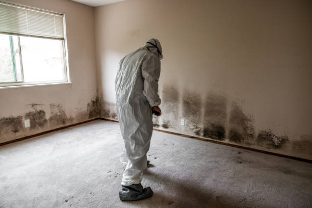 Mold Remediation for Rental Properties in Kodiak Station, AK